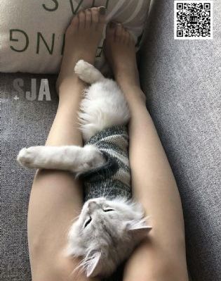 日本厕所偷拍无码av_BD韩语影视在线观看