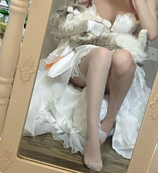 高清在线_高清免费电影观看
