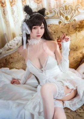精品幼马犬视频_高清电影完整版